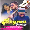 About Begma Meriye Song
